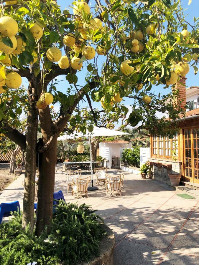 Casa Lucia Bed & Breakfast Sorrento Dış mekan fotoğraf